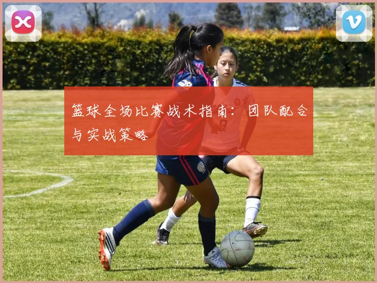 篮球全场比赛战术指南:团队配合与实战策略
