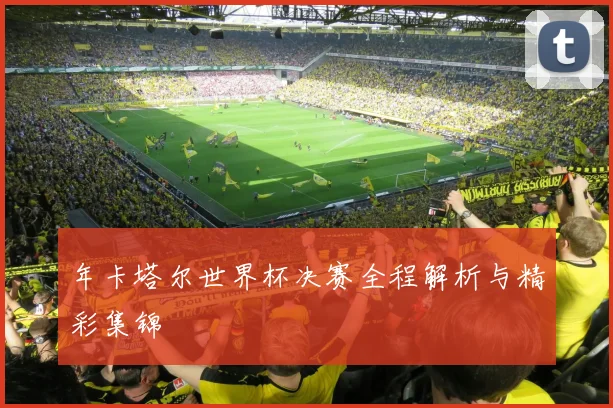 年卡塔尔世界杯决赛全程解析与精彩集锦