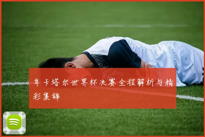 年卡塔尔世界杯决赛全程解析与精彩集锦